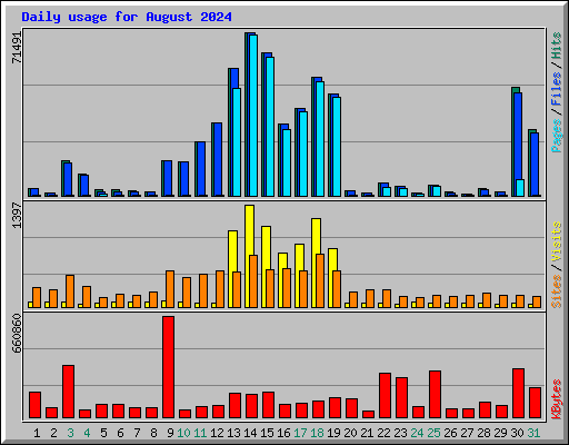 Daily usage for August 2024