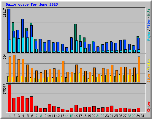Daily usage for June 2025