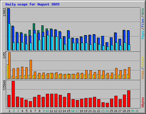 Daily usage for August 2025