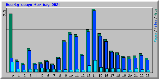 Hourly usage for May 2024