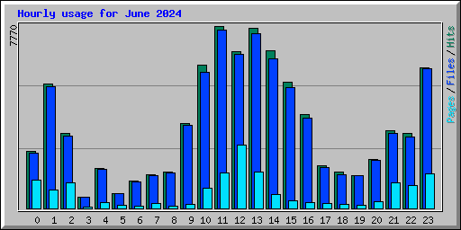 Hourly usage for June 2024