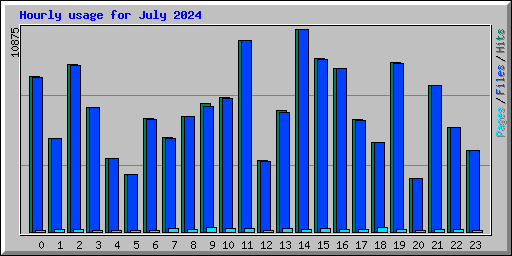 Hourly usage for July 2024