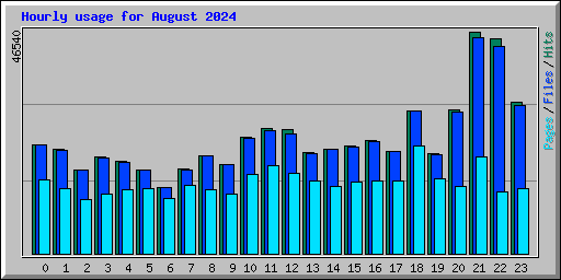 Hourly usage for August 2024