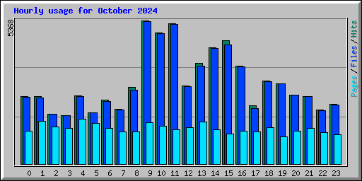 Hourly usage for October 2024