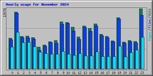 Hourly usage for November 2024