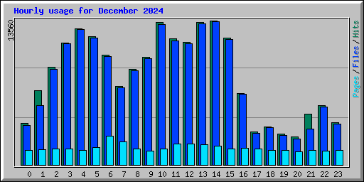 Hourly usage for December 2024