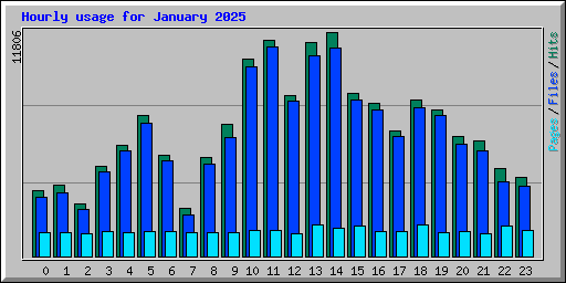 Hourly usage for January 2025