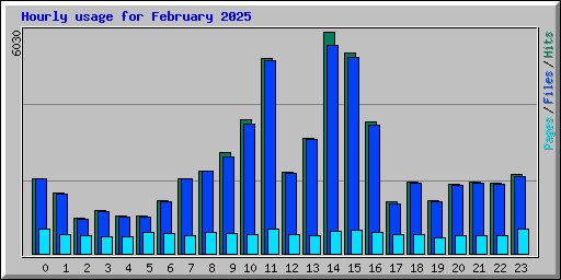 Hourly usage for February 2025
