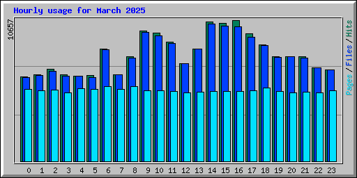 Hourly usage for March 2025