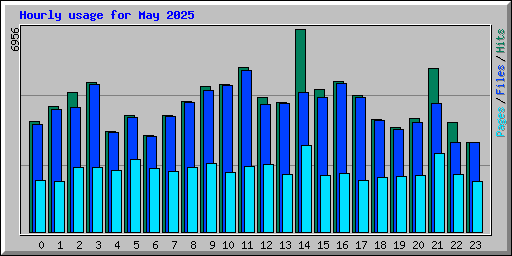 Hourly usage for May 2025