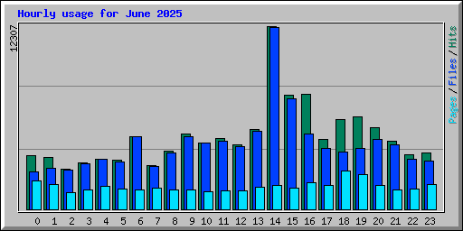 Hourly usage for June 2025