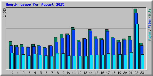 Hourly usage for August 2025