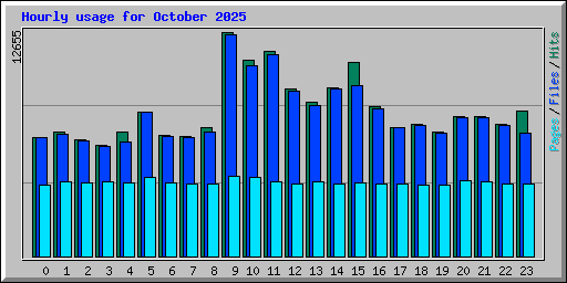 Hourly usage for October 2025