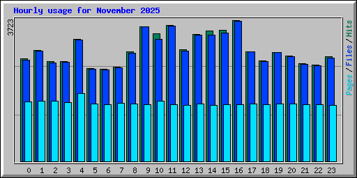 Hourly usage for November 2025