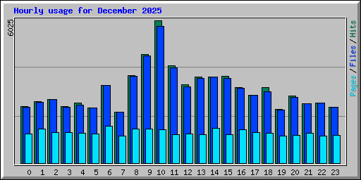 Hourly usage for December 2025