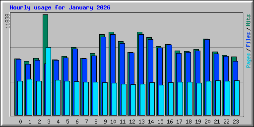 Hourly usage for January 2026